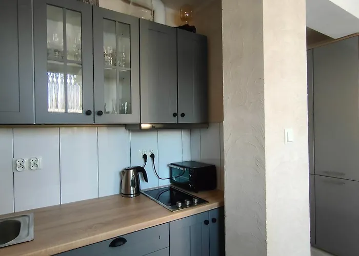 公寓 Stelmaszczyka 14 亚斯塔尔尼亚