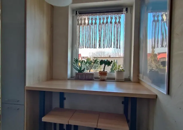 公寓 Stelmaszczyka 14 *